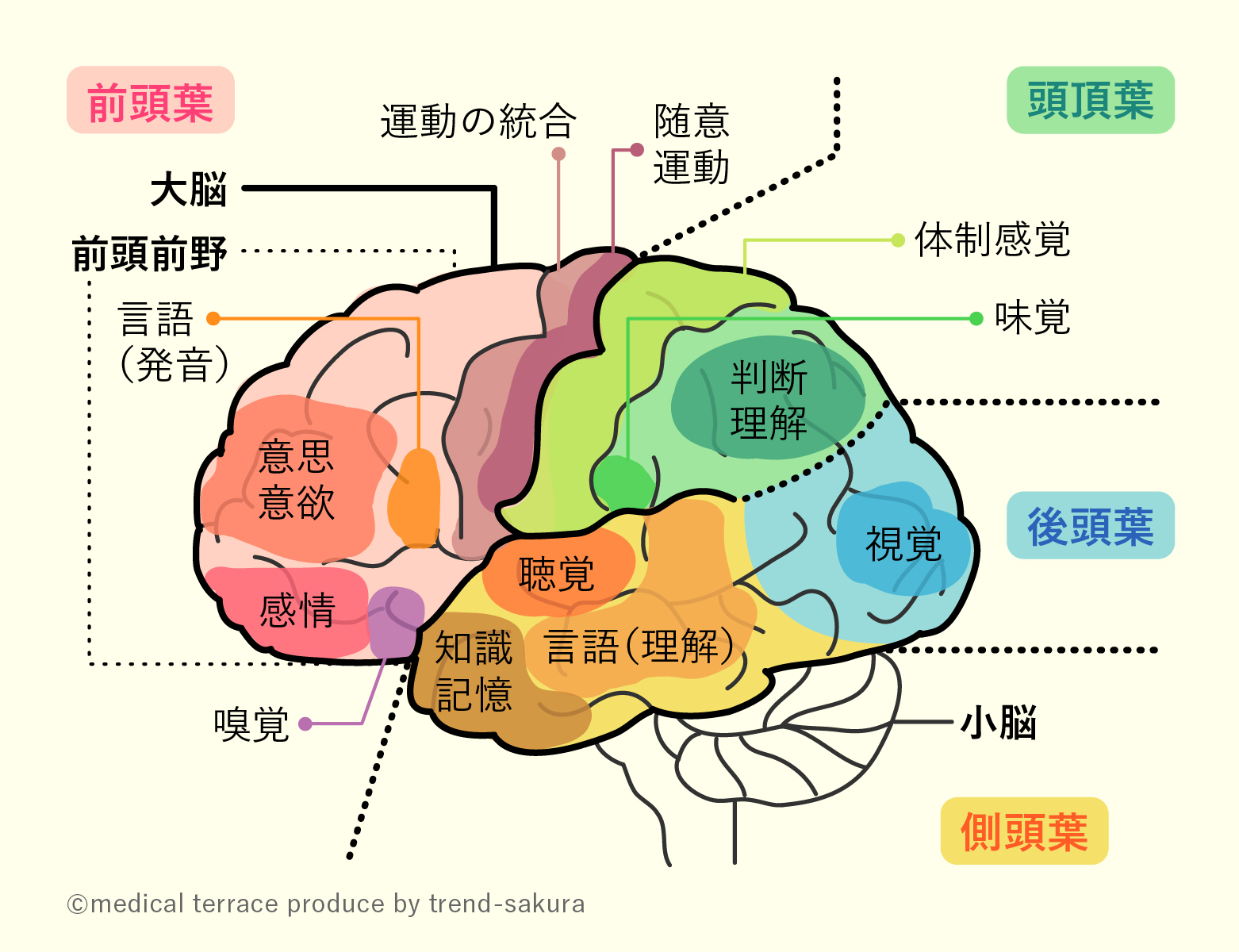 病状持続期間