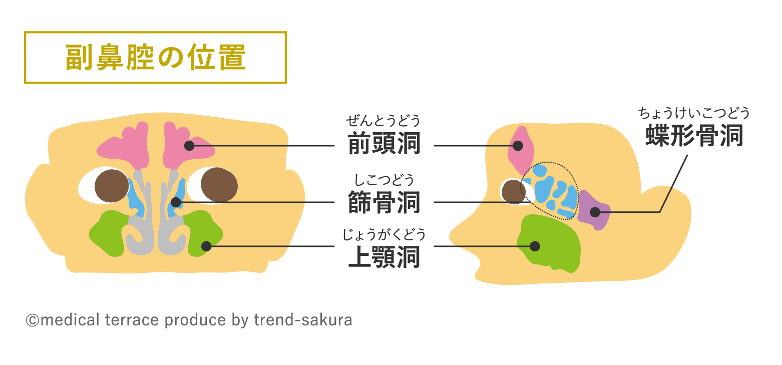 【2013年〜2018年の定点当たり報告数の平均】副鼻腔炎